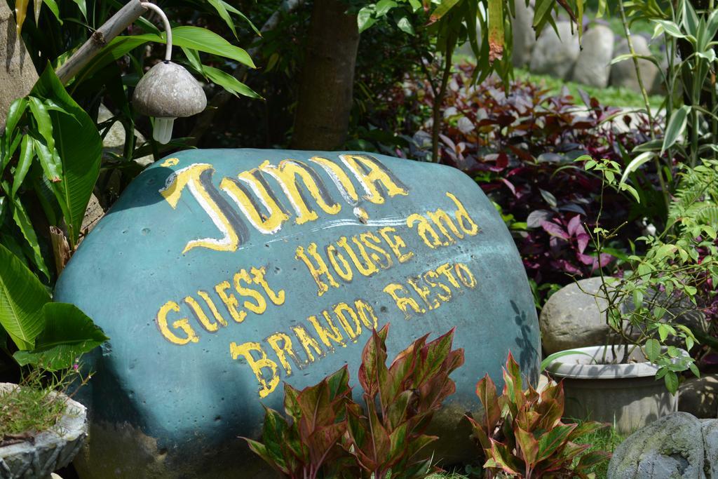 Junia Guesthouse Bukit Lawang Esterno foto